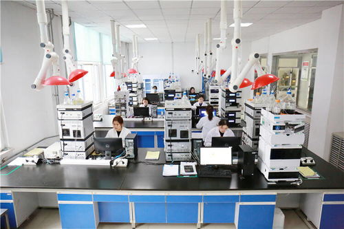 喜迎二十大 奋进新征程 寿光打造全产业链，以新材料技术研发勾勒高质量发展新版图